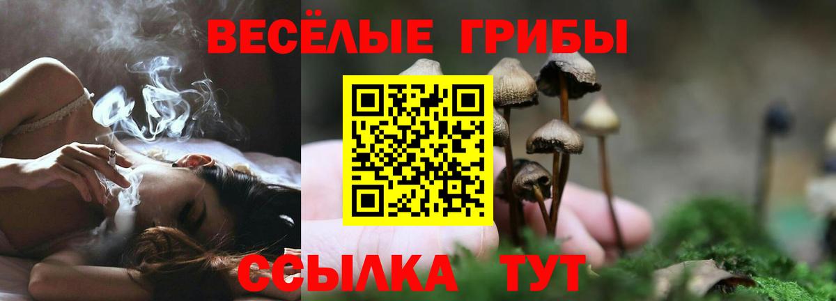 Галлюциногенные грибы Cubensis Тверь